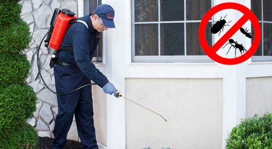 Sarıyer Kemirgen İlaçlama böcek ilaçlama ve haşere kontrolü — ilaclama-tr.com